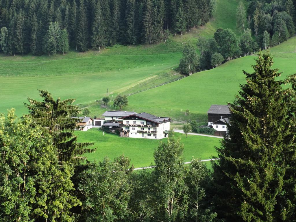 Appartement Greti Schladming Rum bild