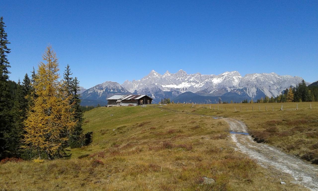 Appartement Greti Schladming Exteriör bild